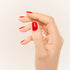 NM pure color DITA